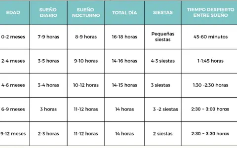 Tabla de sueño para bebés. Muestra las horas de sueño diario, nocturno y las siestas, así como el tiempo despierto entre sueños, para edades de 0 a 12 meses. Ideal para entender las ventanas de sueño de un bebé de 13 meses.
