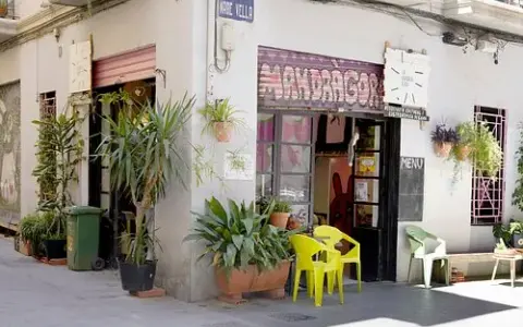 La Mandrágora Valencia: el espacio vegano que redefine el precio