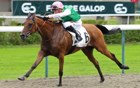 Un jockey en tenue verte et rose monte un cheval brun portant le numéro 6, "DEUVILLE", sur la piste. Le dp poney est en pleine course.