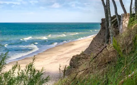 Wyspa Sobieszewska: piaszczysta plaża, turkusowe morze i strome klify porośnięte drzewami.