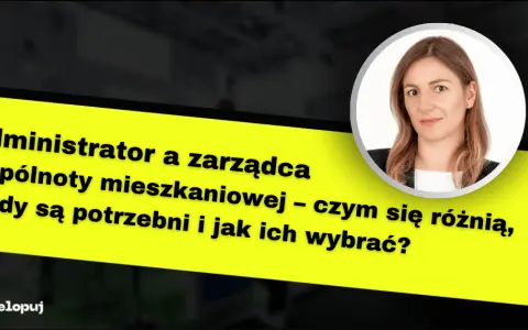 Deweloper: kim jest, jak wybrać i uniknąć błędów? Poradnik