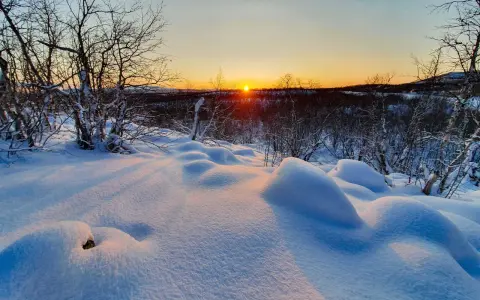 Snöklädda kullar och träd i solnedgångens gyllene ljus. En bilduppgift vinter som fångar den magiska stämningen i norra Sverige.