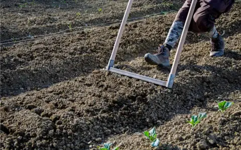 Persona che lavora il terreno con un rastrello, preparando l'orto per la semina.