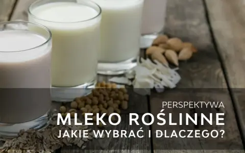 Co to jest mleko roślinne? Poznaj zdrowe alternatywy dla mleka krowiego