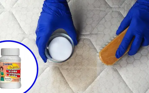 Manos enguantadas aplican percarbonato de sodio con cepillo a un colchón manchado. El perborato para que sirve: limpieza profunda.