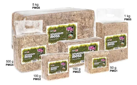 Różne opakowania mchu sphagnum. Dowiedz się, jak używać mech sphagnum do storczyków i terrarium.
