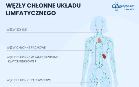Ilustracja schematyczna układu limfatycznego człowieka z zaznaczonymi węzłami chłonnymi.
