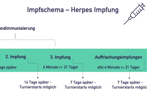 Schema für die Herpes Impfung bei Pferden: Grundimmunisierung mit 3 Impfungen, danach Auffrischungsimpfungen alle 6 Monate.