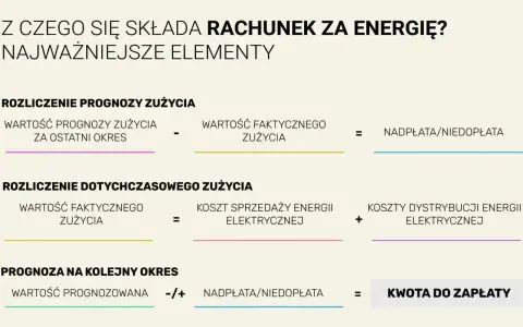 Rozliczenie rachunku za energię: prognoza vs. zużycie faktyczne, koszty dystrybucji i sprzedaży, nadpłata/niedopłata, kwota do zapłaty. To pokazuje, co ile płaci się prąd.