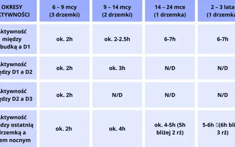 Tabela pokazuje, ile śpi noworodek w zależności od wieku i liczby drzemek. Od 6-9 miesięcy do 2-3 lat, czas aktywności między pobudkami i drzemkami jest różny.