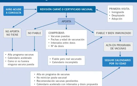 Diagrama de flujo para historial de vacunación. Si un niño de 15 meses acude a consulta, se revisa su carné. Si no lo aporta, se le da alta en programa de vacunas.