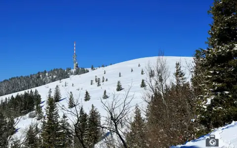 Feldberg: Deutschlands höchster Berg (1.493m) Tipps & Aktivitäten