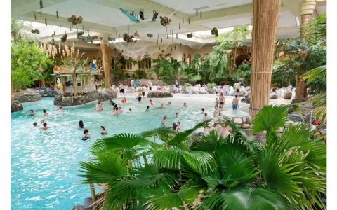 Familien genießen das tropische Ambiente und das Wasser in der **Therme Sauerland**. Palmen und eine Strandbar schaffen Urlaubsfeeling.
