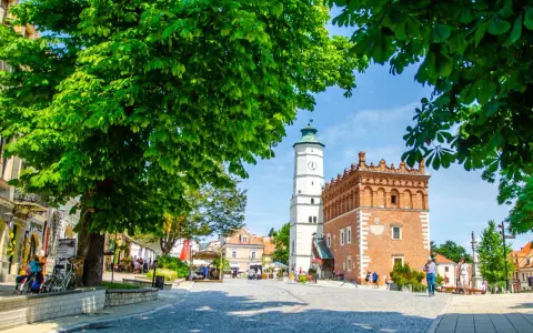 Rynek w Sandomierzu z ratuszem i wieżą zegarową, otoczony drzewami i kamienicami.