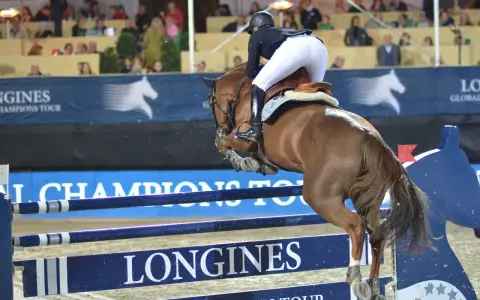 Un cavalier pro et son cheval brun franchissent un obstacle lors d'une compétition d'équitation.