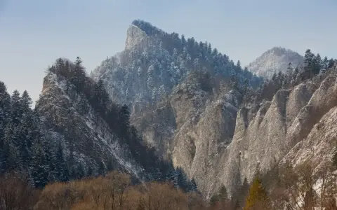 Zimowy krajobraz skalnych szczytów i lasów w Pieninach Słowackich. Śnieg pokrywa drzewa i zbocza gór.
