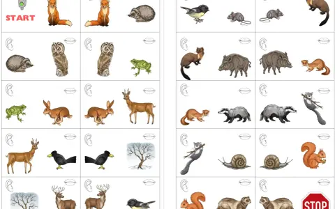 Waldtiere Vorlage zum Ausdrucken: Füchse, Igel, Eulen, Frösche, Hasen, Rehe, Wildschweine, Marder, Dachse, Eichhörnchen, Schnecken, Mäuse, Vögel, Hirsche, Bäume im Schnee.