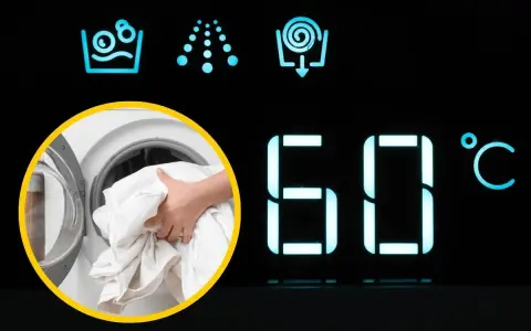 W jakiej temperaturze prać bawełnę? Na wyświetlaczu pralki 60°C, a ręka wkłada białe pranie.