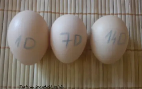 Trzy jajka z oznaczeniami 1D, 7D i 14D, pokazujące, jak sprawdzić czy jajko jest dobre.