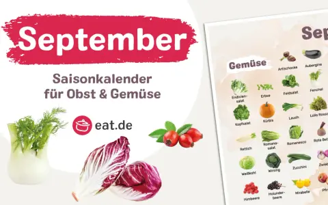Saisonkalender September: Frisches Gemüse wie Kürbis, Lauch und Zucchini ist jetzt reif. Ideal für herzhafte Herbstgerichte.