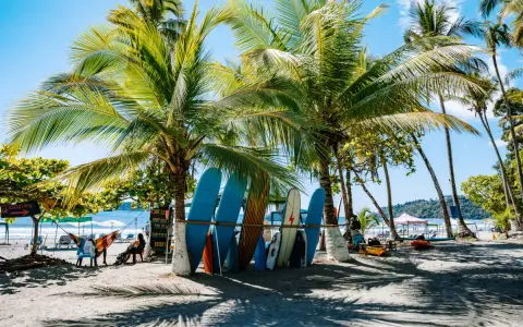 Palmy, deski surfingowe i plaża w Kostaryce.