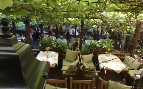 Bad Mergentheim Gastronomie: Ihr Genussführer für Restaurants & Wein