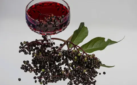 Ein Glas tiefroter Holunderschnaps mit Rum, daneben frische Holunderbeeren und Blätter.