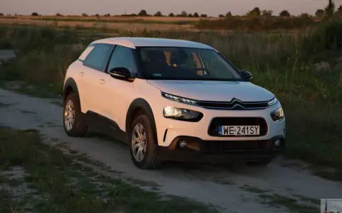 Biały Citroen Cactus na polnej drodze, w tle pole i zachodzące słońce.