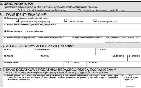 Formularz podatkowy z sekcjami B.1, B.2 i B.3, zawierający dane identyfikacyjne, adresowe i dodatkowe podatnika, w tym pole na numer identyfikacyjny REGON lub PESEL, istotne dla rozliczeń vat.