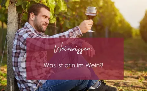 Mann im karierten Hemd hält Weinglas in Weinberg. Text: "Weinwissen: Was ist drin im Wein?" - die wichtigsten wein zutaten.