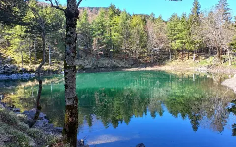 Il lago delle lame, con le sue acque smeraldine, riflette la foresta e il cielo azzurro. Un tronco d'albero in primo piano aggiunge profondità.