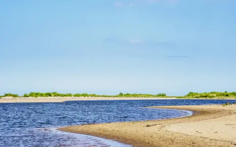 Szeroka, piaszczysta plaża i spokojne wody w miejscu, gdzie Wisła wpada do morza. Zielone zarośla na horyzoncie.
