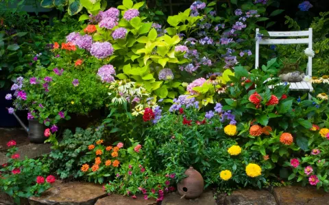 Jardín vibrante con **plantas de exterior resistentes** en tonos rosas, naranjas y morados. Una silla blanca y una regadera antigua añaden encanto.