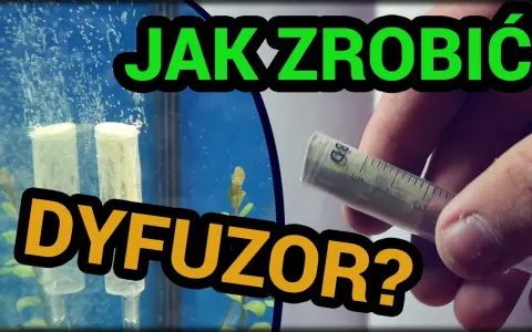 Jak zrobić dyfuzor do oczyszczalni i uniknąć kosztownych błędów