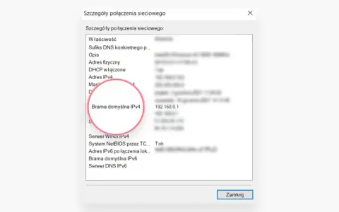 Szczegóły połączenia sieciowego: Brama domyślna IPv4 to adres IP routera 192.168.0.1.