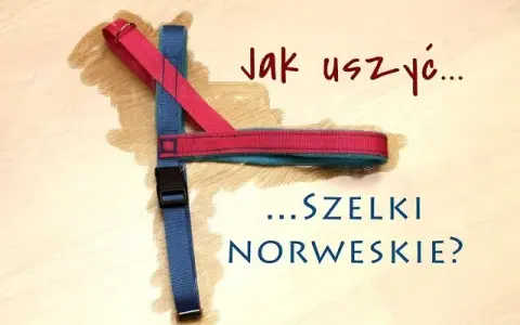 Jak uszyć szelki dla psa "guard"? Idealne dopasowanie DIY!