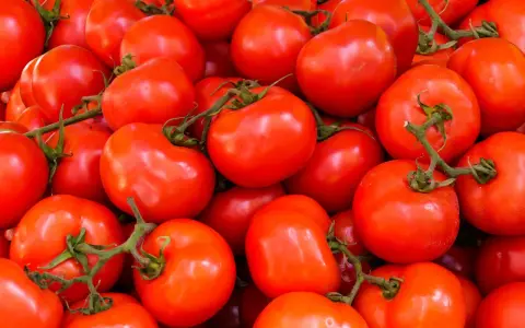 Mnóstwo soczystych, czerwonych pomidorów, idealnych na keto dietę. Doskonałe do sałatek i sosów.