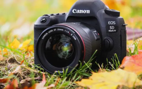 Profesjonalny aparat Canon EOS 5D Mark IV z obiektywem 35mm leży wśród jesiennych liści.
