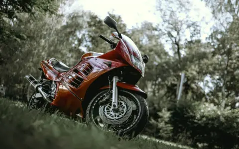Czerwony motocykl Suzuki RF 900, zaparkowany na trawie wśród drzew. Idealny do sprawdzenia jego danych technicznych.