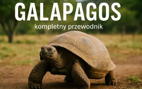 Galapagos: przewodnik po świecie gigantycznych żółwi. Ten potężny gad przemierza wyspy, będąc żywym symbolem tego niezwykłego miejsca.