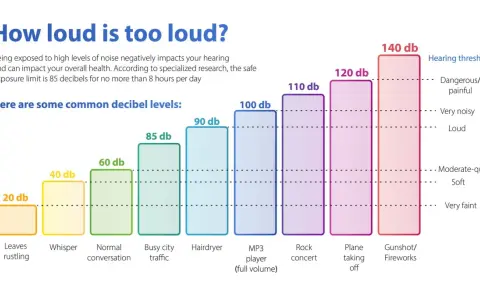 Graphique comparant les niveaux sonores, de 20 dB (feuilles) à 140 dB (coup de feu). Le bruit d'un sèche-cheveux est de 90 dB.