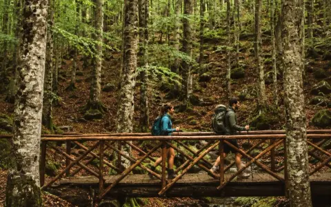Co fare sul Monte Amiata: escursionisti attraversano un ponte di legno in un bosco di faggi.