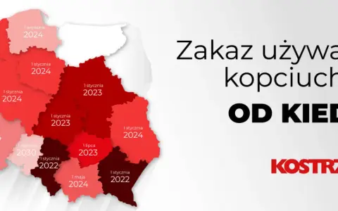 Kocioł UKS: Bezklasowy? Wymiana do 2026 kary i dotacje