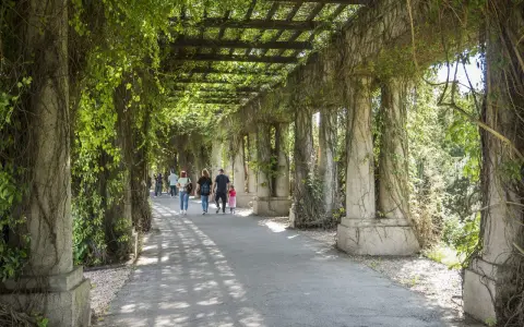 Spacer po Pergoli w Ogrodzie Botanicznym we Wrocławiu. Idealne miejsce na darmowe atrakcje Wrocław, gdzie można poczuć bliskość natury.