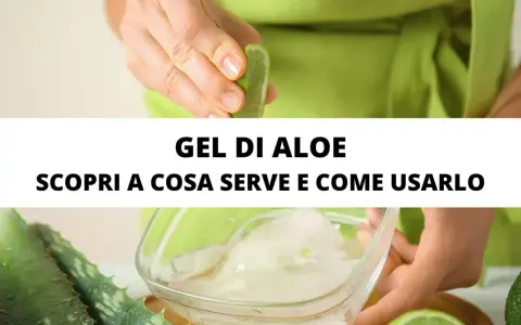 Gel di aloe vera: scopri a cosa serve e come usarlo per la tua pelle.