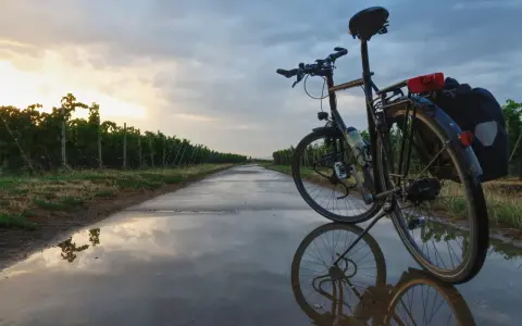 Fahrrad mit Rohloff-Schaltung am Abend. Die Nachteile der Rohloff-Schaltung sind bei dieser Tour durch Weinberge nicht ersichtlich.