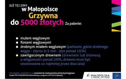 Kotły klasy 1: Terminy wymiany, kary i dotacje (Czyste Powietrze)