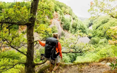 Vandrare med stor ryggsäck på en av STF:s signaturleder, omgiven av grönskande skog och en klippig ravin.