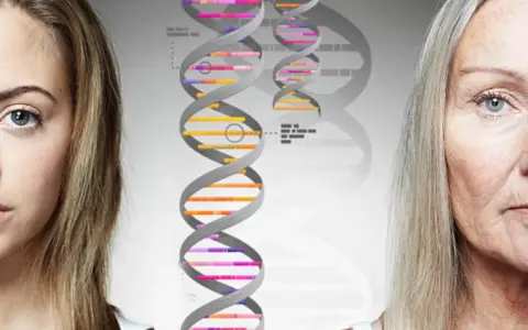 Mitad de rostro de joven y anciana, con cadenas de ADN en el centro. Los genes se heredan, mostrando la continuidad a través del tiempo.
