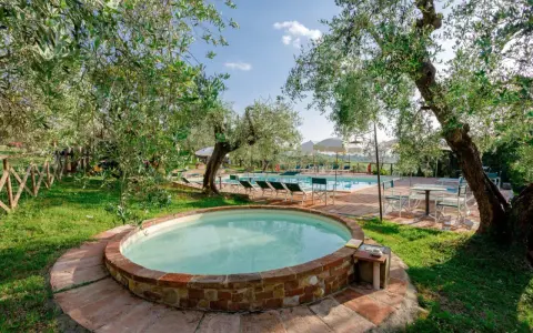 Un angolo di paradiso per dormire in fattoria con bambini: una piccola piscina circondata da ulivi, con una più grande sullo sfondo.